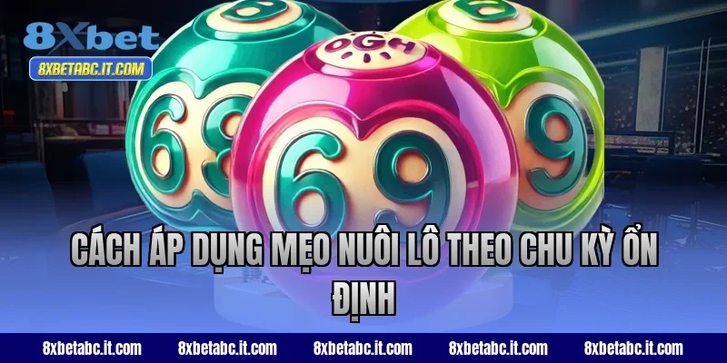 Cách áp dụng mẹo nuôi lô theo chu kỳ ổn định