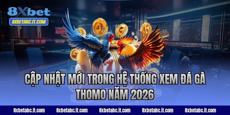 Cập nhật mới trong hệ thống xem đá gà Thomo năm 2026