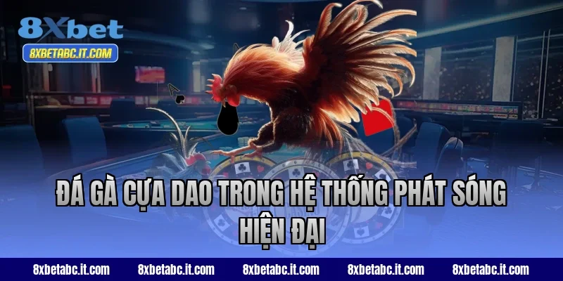 Đá gà cựa dao trong hệ thống phát sóng hiện đại