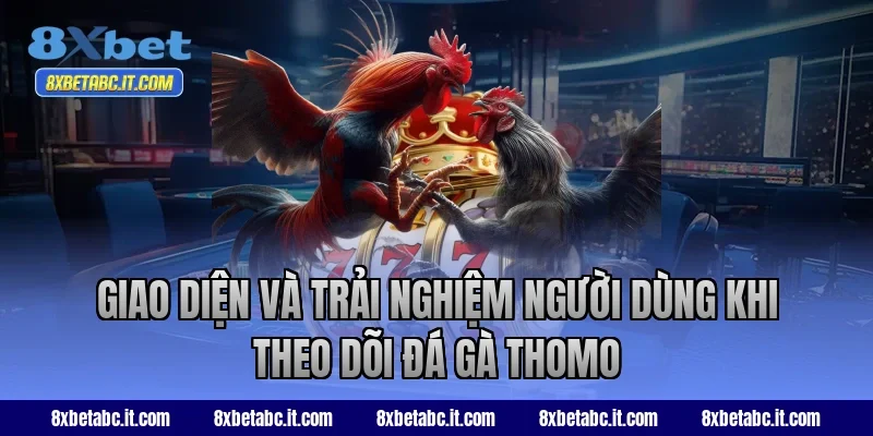 Giao diện và trải nghiệm người dùng khi theo dõi đá gà Thomo