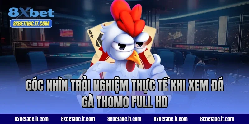 Góc nhìn trải nghiệm thực tế khi xem đá gà Thomo Full HD
